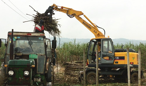 宝鼎轮式抓木机 宝鼎轮式抓木机