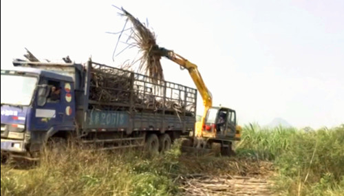 轮式抓木机 轮式抓木机