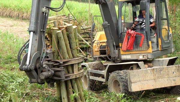 宝鼎95轮式抓木机.jpg 宝鼎95轮式抓木机.jpg