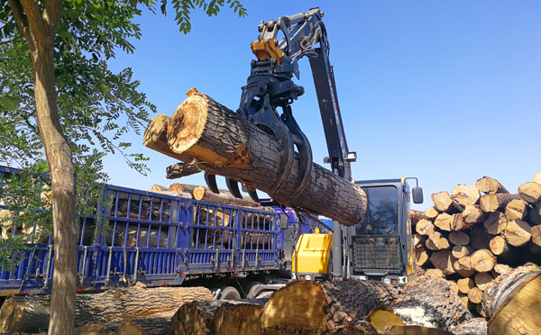 抓木机木材卸车.jpg 抓木机木材卸车.jpg