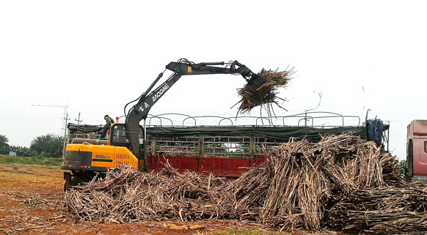 宝鼎95抓木机.jpg 宝鼎95抓木机.jpg